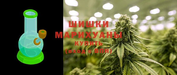 ПСИЛОЦИБИНОВЫЕ ГРИБЫ Тавда