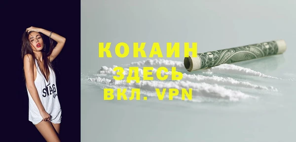 ПСИЛОЦИБИНОВЫЕ ГРИБЫ Тавда