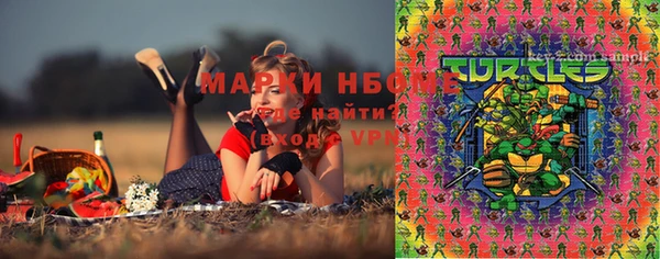 шишки Осташков