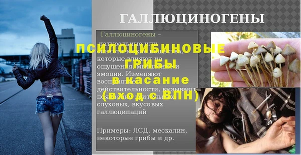 шишки Осташков