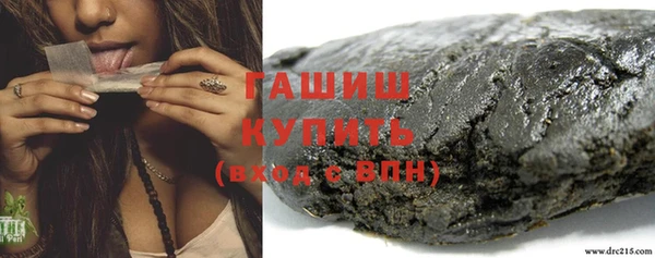 соль ск Тайга