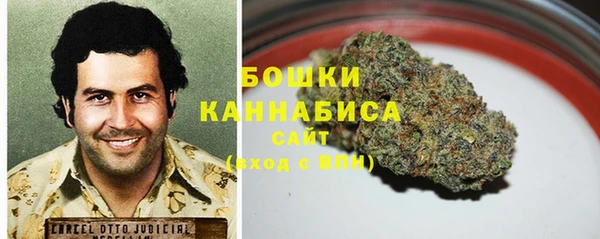 шишки Осташков
